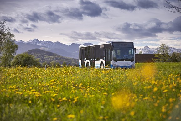 Pressebild RTB Rheintal Bus